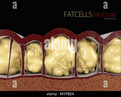 Illustration 3d de cellules graisseuses sur fond noir. Banque D'Images