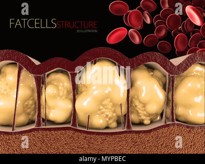 Illustration 3d de cellules graisseuses avec globules rouges sur fond noir. Banque D'Images