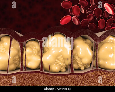 Illustration 3d de cellules graisseuses avec globules rouges sur fond rouge. Banque D'Images