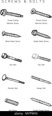 Illustration de la fabrication et de l'industrie jeu de croquis dessinés à la main, des types de vis. Un type de matériel de fixation utilisé pour fixer ensemble. Illustration de Vecteur