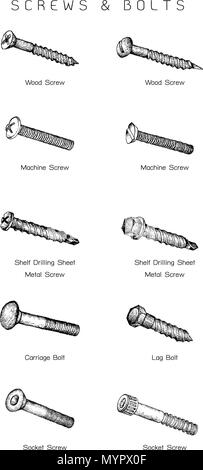 Illustration de la fabrication et de l'industrie jeu de croquis dessinés à la main, des types de vis. Un type de matériel de fixation utilisé pour fixer ensemble. Illustration de Vecteur