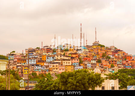 Guayaquil, Équateur - 15 Avril 2016 : vue panoramique sur les tours de téléphonie cellulaire et maisons colorées de Guayaquil du Cerro Santa Ana quartier. Banque D'Images