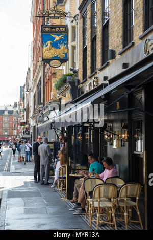 Canard et chien pub vu de Frith Street, Soho, Londres, Angleterre, Royaume-Uni. Banque D'Images