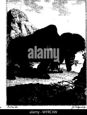 . Anglais : Fleuron du livre : Une histoire de la terre et nature : par Oliver Goldsmith. En huit volumes. ... 343 Une histoire de la terre et nature- par Oliver Goldsmith. En huit volumes. - Fleuron N008422-2 Banque D'Images