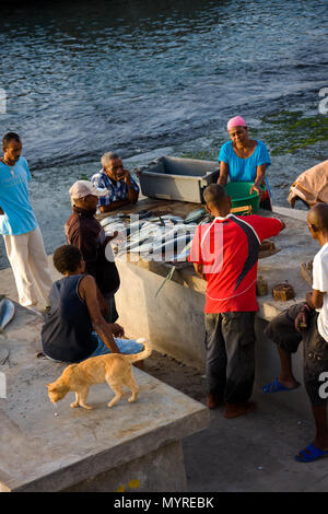 Les villageois d'acheter des poissons fraîchement pêchés dans le port des pêcheurs en Ponta do Sol, le Cap-vert - Décembre 08, 2015 Banque D'Images