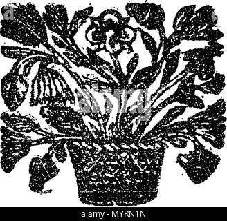 . Anglais : fleuron de livre : un examen de l'ouverture. Concernant l'Kirk-Sessions Presbytries, et transmis par la Commission de l'Assemblée générale, d'Presbytries. Par William Tennoch, marchand à Glasgow. 332 Un examen de l'ouverture Fleuron T183488-30 Banque D'Images