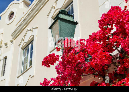 Maison construite dans l'architecture portugaise traditionnelle et couvert par un bougainvillée rouge en Algarve, Portugal Banque D'Images