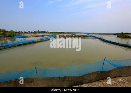 Vue d'une plaine desséchée à Gabura union dans Upajila Shyamnagar en vertu de Satkhira district de Bangladesh. Le cyclone Aila a inondé ce domaine en 2009, t Banque D'Images