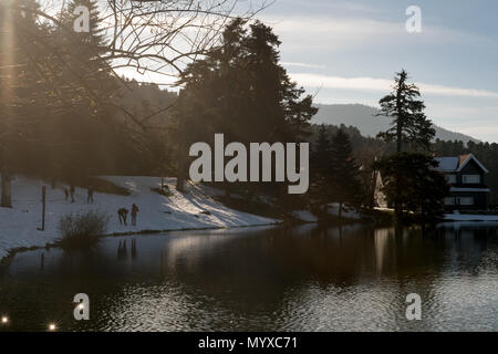 Une scène hivernale paisible au bord d'un lac, avec la lumière douce du soleil coulant à travers les arbres et se reflétant sur l'eau calme. Parc naturel national, Bolu, Turquie Banque D'Images