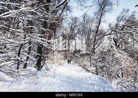 New York, USA. 27 janvier, 2015. Deux personnes marcher dans Prospect Park, Brooklyn, après la tempête de 2015. Credit : keka / StockimoNews/Alamy Live News Banque D'Images