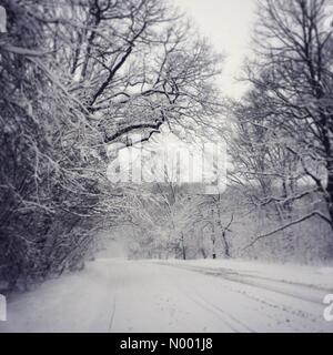 Brooklyn, New York, USA. Le 05 Mar, 2015. Prospect Park à Brooklyn, New York dans Tempête de Thor. Credit : Elizabeth A. Abts/StockimoNews/Alamy Live News Banque D'Images