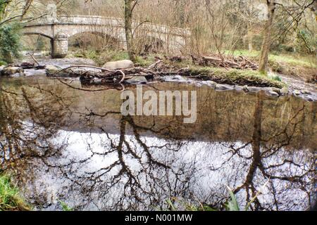 Le parc national du Dartmoor, Exeter, Devon, UK. Mar 16, 2015. Météo France : réflexions sur la rivière Teign, Dunsford, woods Crédit : Devon/nidpor StockimoNews/Alamy Live News Banque D'Images