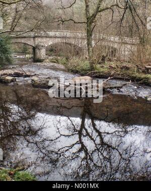 Le parc national du Dartmoor, Exeter, Devon, UK. Mar 16, 2015. Météo France : réflexions sur la rivière Teign, Dunsford, woods Crédit : Devon/nidpor StockimoNews/Alamy Live News Banque D'Images
