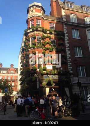 Londres, Royaume-Uni. 14 avr, 2015. Soir dans le sun de Londres les buveurs à l'extérieur de la Masons Arms. /StockimoNews davejstevenson : Crédit/Alamy Live News Banque D'Images