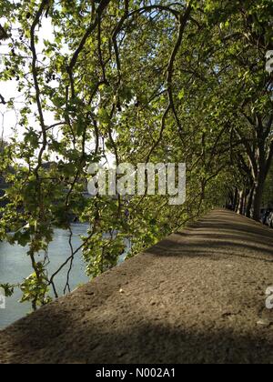 2, Roma, Italie. 18 avr, 2015. Seul fleuve Tevere Crédit : Silvia/StockimoNews/Alamy Live News Banque D'Images