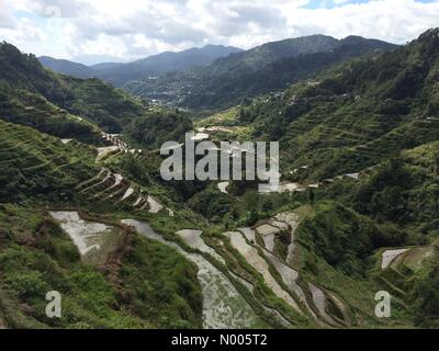 Nueva Vizcaya - Montagne - Ifugao Province Rd, Banaue, Ifugao, Philippines. 21 Jan, 2016. En plus d'une terrasse, de Banaue est célèbre pour scooter en bois. Sherbien Dacalanio : Crédit/StockimoNews/Alamy Live News Banque D'Images