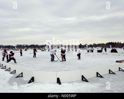 Minneapolis, Minnesota, USA. 29 janvier, 2016. Joueurs de hockey en compétition aux championnats mondiaux de hockey sur glace américain à Minneapolis, Minnesota. Crédit : Gina Easley / StockimoNews/Alamy Live News Banque D'Images