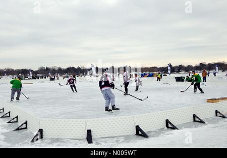 Minneapolis, Minnesota, USA. 29 janvier, 2016. Joueurs de hockey en compétition aux championnats mondiaux de hockey sur glace américain à Minneapolis, Minnesota. Crédit : Gina Easley / StockimoNews/Alamy Live News Banque D'Images