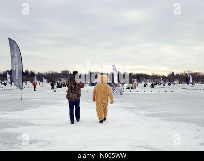 Minneapolis, Minnesota, USA. 29 janvier, 2016. Une mascotte ours marcher sur la glace à l'US championnats mondiaux de hockey sur glace dans la région de Minneapolis, Minnesota. Crédit : Gina Easley / StockimoNews/Alamy Live News Banque D'Images