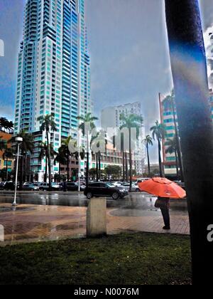 Le boulevard Biscayne, Miami, Floride, USA. 21 mai, 2016. Les conditions météorologiques humides et gros parapluies dans la pluie de Miami : plasticparanoia StockimoNews/crédit/Alamy Live News Banque D'Images