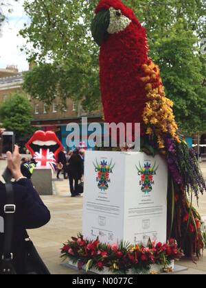 King's Rd, London, UK. 24 mai, 2016. Chelsea Flower Show 2016 : Dame de prendre photo de Chelsea en fleurs exposition sur Kings Road Crédit : William Barton/StockimoNews/Alamy Live News Banque D'Images