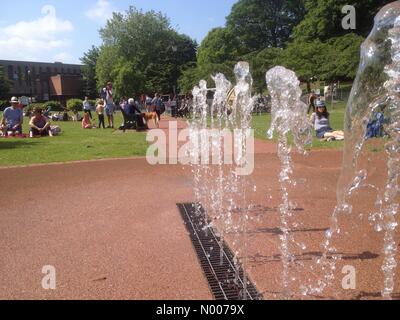 Météo France : un après-midi ensoleillé dans le parc de Windsor. Bachelors Acre, Windsor, Berkshire, Royaume-Uni. Banque D'Images
