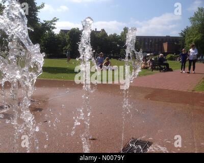 Météo France : un après-midi ensoleillé dans le parc de Windsor. Bachelors Acre, Windsor, Berkshire, Royaume-Uni. Banque D'Images