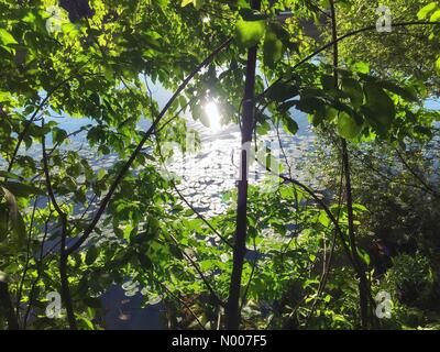 Tarrytown, New York, USA. 09Th Juin, 2016. Météo New York : un beau soir de juin, avec l'aise météo et une brise rafraîchissante par Swan Lake à Pleasantville NY Alamy Live News/Marianne Campolongo Crédit : A. Campolongo/StockimoNews Marianne/Alamy Live News Banque D'Images