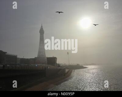 UK : Météo Soleil voilé et sea mist à Blackpool. Vol de mouettes en face de la tour de Blackpool. Banque D'Images