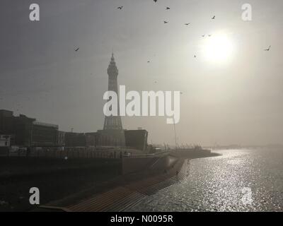 UK : Météo Soleil voilé et sea mist à Blackpool. Vol de mouettes en face de la tour de Blackpool. Banque D'Images