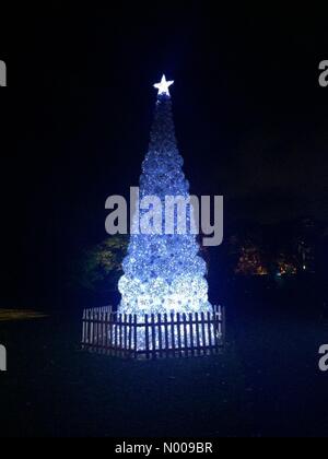 Londres, Royaume-Uni. 22 novembre, 2016. Noël à Kew. Kew Gardens. Londres. Credit : Tricia de Courcy Ling / StockimoNews/Alamy Live News Banque D'Images