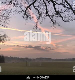 Ln Ashstead, Godalming, UK. 17 Jan, 2017. Météo France : Coucher de soleil sur Godalming. Ashtead Lane, Godalming. 17 Jan 2017. Au cours de la Misty Home Counties ce soir comme les températures ont chuté rapidement. Godalming à Surrey. /StockimoNews jamesjagger : Crédit/Alamy Live News Banque D'Images