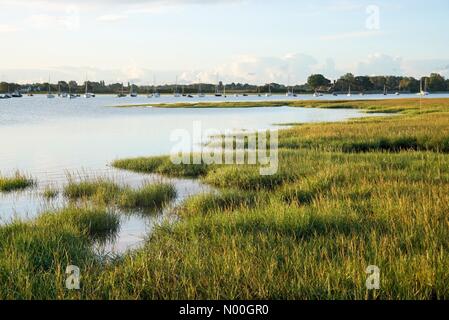 Uk météo : ensoleillé dans chidham. harbour way, chidham. Un beau début pour la journée sur la côte sud. chichester harbour vu de chidham près de Chichester dans le West Sussex. jamesjagger stockimonews crédit : //Alamy live news Banque D'Images