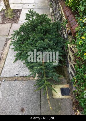 London, UK Un arbre de Noël dans la rue le jour de l'Epiphanie, le 6 janvier 2018 du West End à Londres, Angleterre Crédit : Louisa/StockimoNews Cook/Alamy Live News Banque D'Images