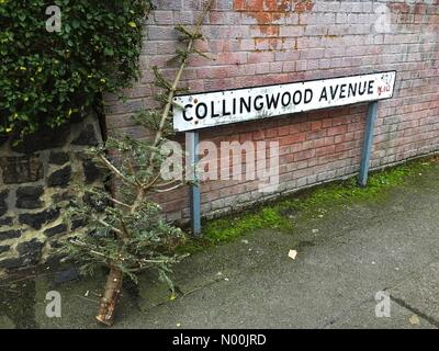 Londres, Royaume-Uni. 9 janvier, 2018. Un arbre de Noël à l'extérieur d'une chambre du West End à Londres 3 jours après l'épiphanie, le 9 janvier 2018 Credit : Louisa/StockimoNews Cook/Alamy Live News Crédit : Louisa Cook/StockimoNews/Alamy Live News Banque D'Images