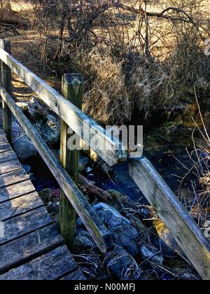 Waukesha, WI USA, 19 mars 2018, la plupart de la neige a fondu et le soleil brillait sur les sentiers du Centre Nature Retzer, dans le sud-est du Wisconsin/DianaJ StockimoNews/Alamy Crédit : Diana J./StockimoNews/Alamy Live News Banque D'Images