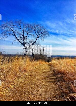 Waukesha, WI USA, 19 mars 2018, la plupart de la neige a fondu et le soleil brillait sur les sentiers du Centre Nature Retzer, dans le sud-est du Wisconsin/DianaJ StockimoNews/Alamy Crédit : Diana J./StockimoNews/Alamy Live News Banque D'Images