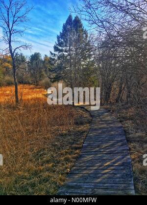 Waukesha, WI USA, 19 mars 2018, la plupart de la neige a fondu et le soleil brillait sur les sentiers du Centre Nature Retzer, dans le sud-est du Wisconsin/DianaJ StockimoNews/Alamy Crédit : Diana J./StockimoNews/Alamy Live News Banque D'Images