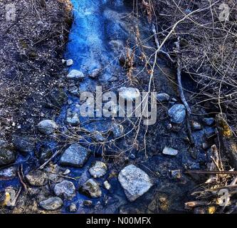 Waukesha, WI USA, 19 mars 2018, la plupart de la neige a fondu et le soleil brillait sur les sentiers du Centre Nature Retzer, dans le sud-est du Wisconsin/DianaJ StockimoNews/Alamy Crédit : Diana J./StockimoNews/Alamy Live News Banque D'Images