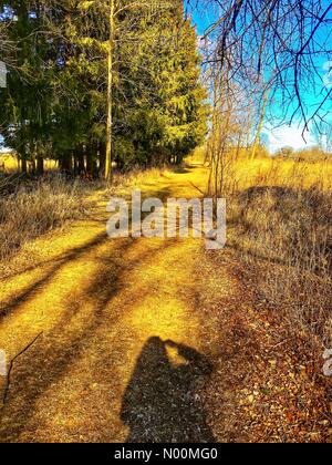 Waukesha, WI USA, 19 mars 2018, la plupart de la neige a fondu et le soleil brillait sur les sentiers du Centre Nature Retzer, dans le sud-est du Wisconsin/DianaJ StockimoNews/Alamy Crédit : Diana J./StockimoNews/Alamy Live News Banque D'Images