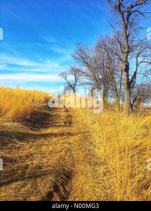 Waukesha, WI USA, 19 mars 2018, la plupart de la neige a fondu et le soleil brillait sur les sentiers du Centre Nature Retzer, dans le sud-est du Wisconsin/DianaJ StockimoNews/Alamy Crédit : Diana J./StockimoNews/Alamy Live News Banque D'Images