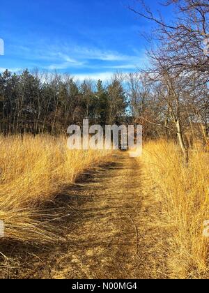 Waukesha, WI USA, 19 mars 2018, la plupart de la neige a fondu et le soleil brillait sur les sentiers du Centre Nature Retzer, dans le sud-est du Wisconsin/DianaJ StockimoNews/Alamy Crédit : Diana J./StockimoNews/Alamy Live News Banque D'Images