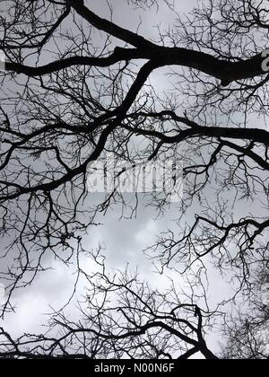 Waukesha, USA. Apr 9, 2018. Un printemps maussade, Waukesha, WI USA, 9e avril 2018, ciel couvert temps de printemps avec des nuages sombres et paysages dormante mêlée de neige et la nouvelle croissance,/DianaJ StockimoNews/Alamy Crédit : Diana J./StockimoNews/Alamy Live News Banque D'Images