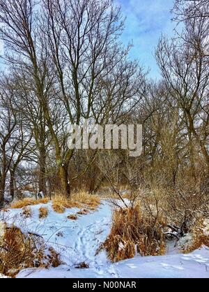 Tempête de printemps dans le Wisconsin, le 15 avril 2018, la neige et la glace de l'automne dans une tempête de neige printanière freak dans le Wisconsin, touchant la nature, maisons et/DianaJ StockimoNews/Alamy Banque D'Images