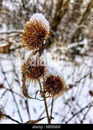 Tempête de printemps dans le Wisconsin, le 15 avril 2018, la neige et la glace de l'automne dans une tempête de neige printanière freak dans le Wisconsin, touchant la nature, maisons et/DianaJ StockimoNews/Alamy Banque D'Images