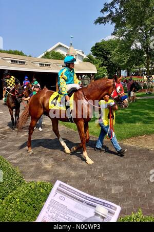 Arlington Million de jour, 11 août 2018, Arlington Heights, malade, USA, top turf chevaux d'exécuter dans les millions de dollars de Grade 1 courses turf, DianaJ StockimoNews //Alamy Banque D'Images