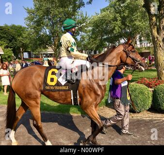 Arlington Million de jour, 11 août 2018, Arlington Heights, malade, USA, top turf chevaux d'exécuter dans les millions de dollars de Grade 1 courses turf, DianaJ StockimoNews //Alamy Banque D'Images