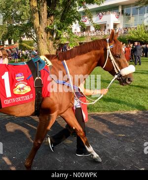 Arlington Million de jour, 11 août 2018, Arlington Heights, malade, USA, top turf chevaux d'exécuter dans les millions de dollars de Grade 1 courses turf, DianaJ StockimoNews //Alamy Banque D'Images