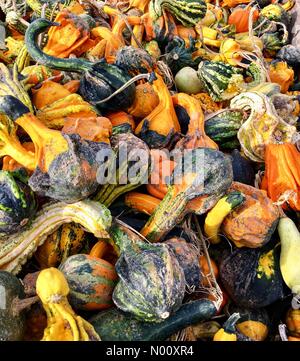 Coin confortable ferme annuel marché, Waukesha, USA. 9 octobre 2018. 9 octobre 2018, Cosy Nook Farm de Waukesha, WI est titulaire d'un marché agricole annuelle d'automne avec les gourdes et DianaJ Stockimo, citrouilles/News/Alamy Crédit : Diana J./StockimoNews/Alamy Live News Banque D'Images