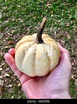 Coin confortable ferme annuel marché, Waukesha, USA. 9 octobre 2018. 9 octobre 2018, Cosy Nook Farm de Waukesha, WI est titulaire d'un marché agricole annuelle d'automne avec les gourdes et DianaJ Stockimo, citrouilles/News/Alamy Crédit : Diana J./StockimoNews/Alamy Live News Banque D'Images